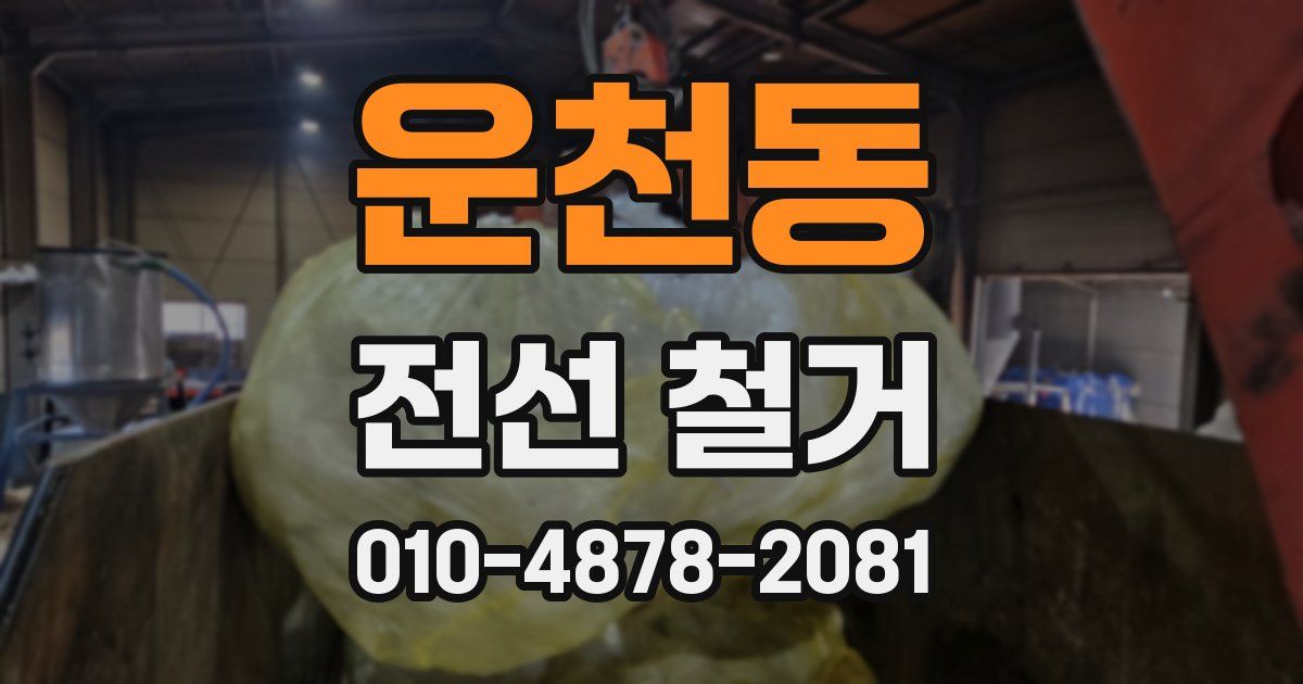 운천동 전선 철거