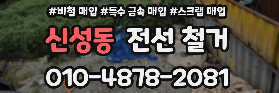 신성동 전선 철거