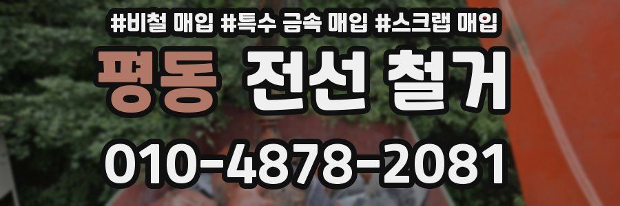 평동 전선 철거