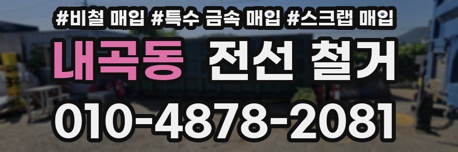 내곡동 전선 철거