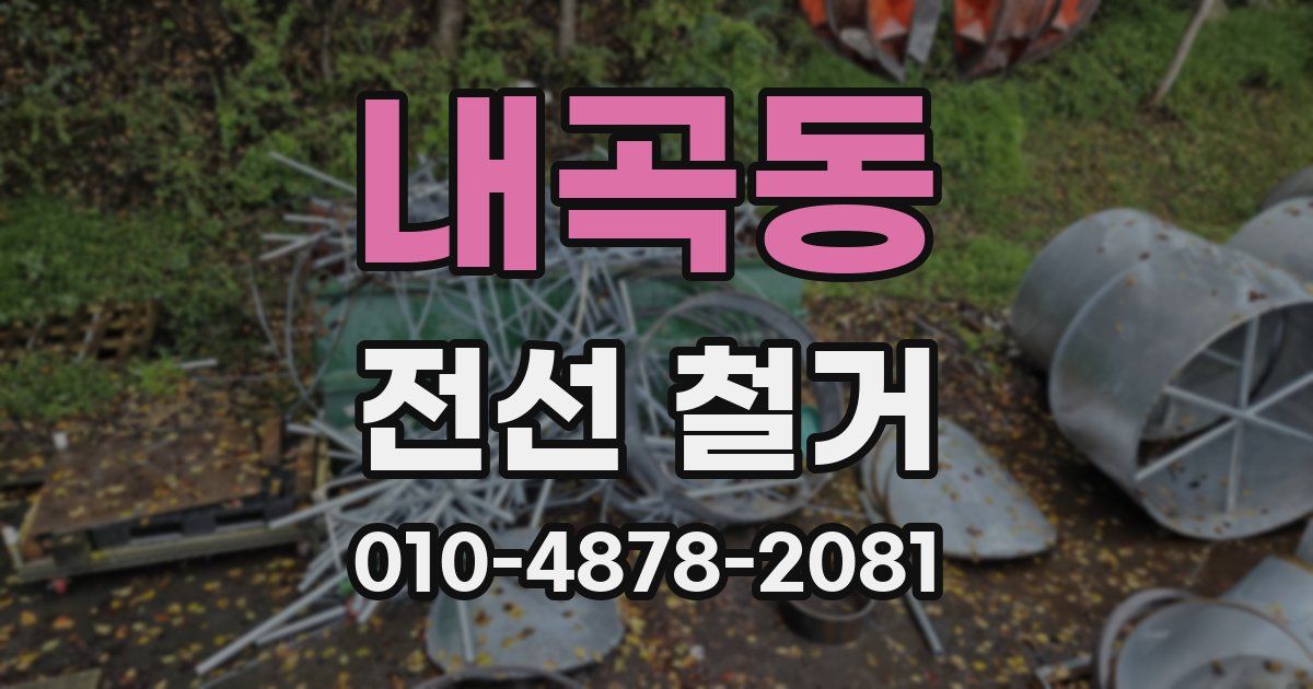 내곡동 전선 철거