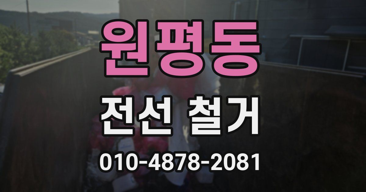 원평동 전선 철거