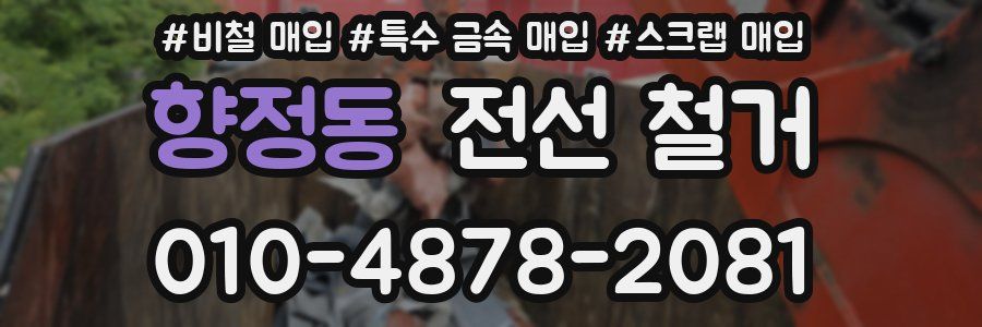 향정동 전선 철거