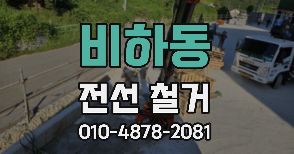 비하동 전선 철거