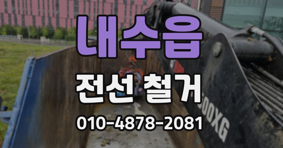 내수읍 전선 철거