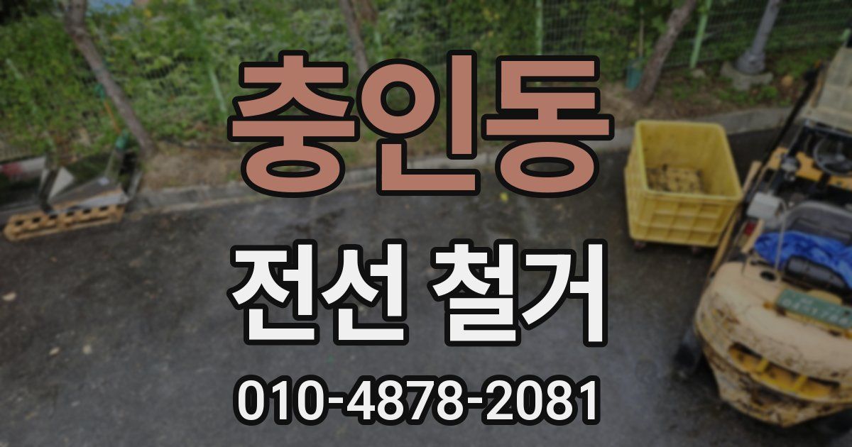 충인동 전선 철거