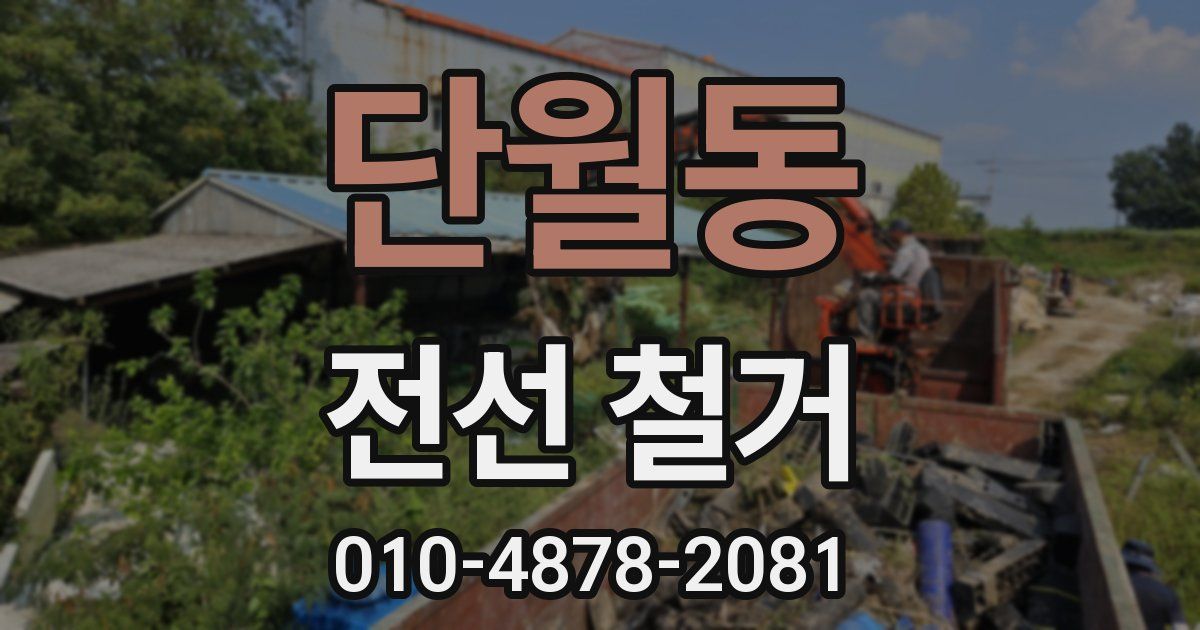 단월동 전선 철거
