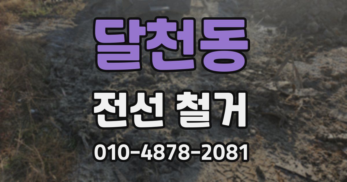 달천동 전선 철거