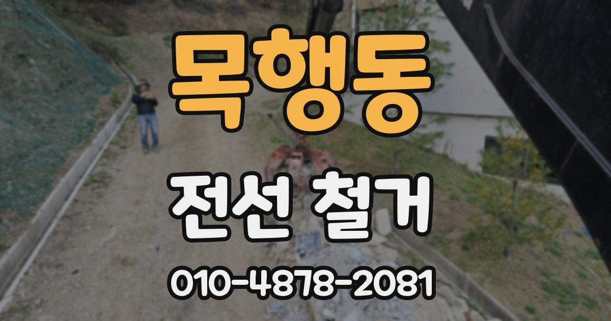 목행동 전선 철거
