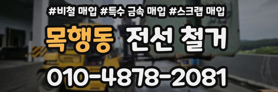 목행동 전선 철거