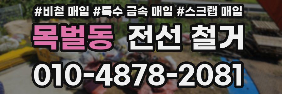 목벌동 전선 철거
