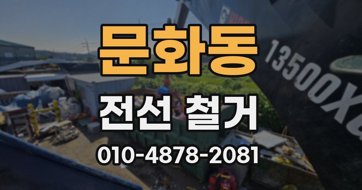 문화동 전선 철거