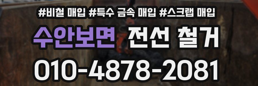 수안보면 전선 철거
