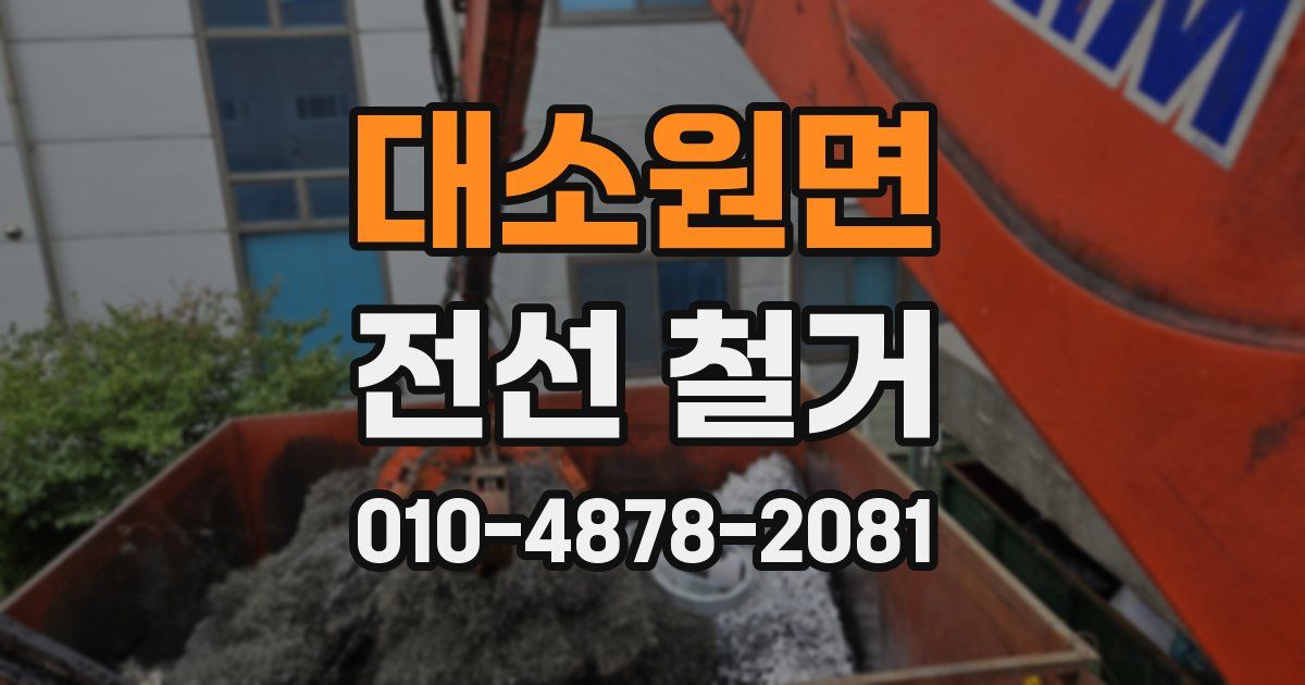 대소원면 전선 철거