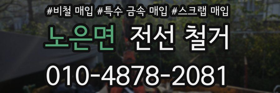 노은면 전선 철거