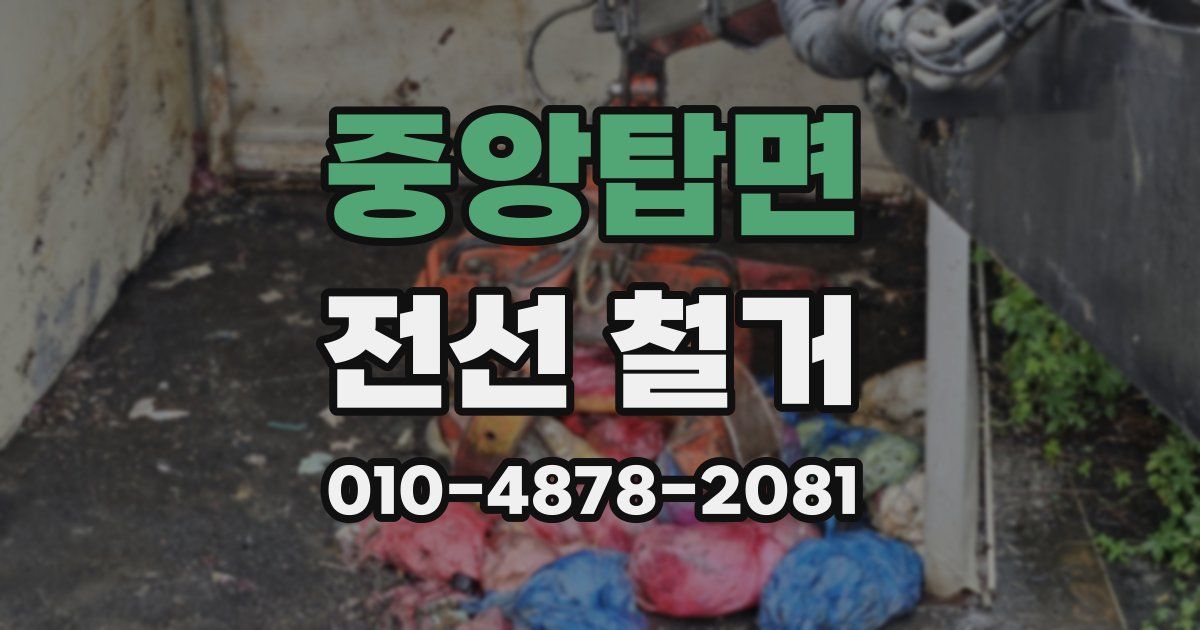 중앙탑면 전선 철거