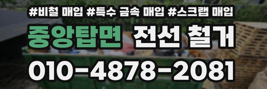 중앙탑면 전선 철거