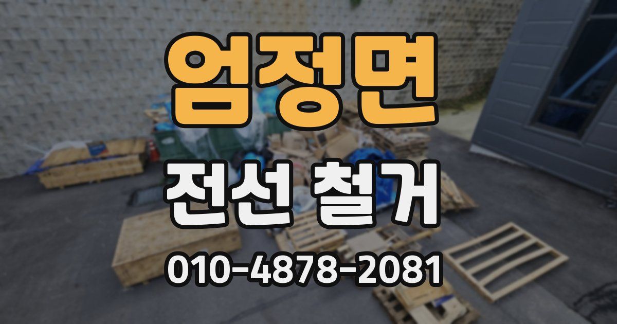 엄정면 전선 철거