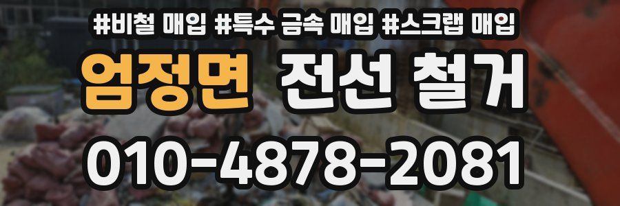 엄정면 전선 철거