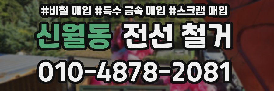 신월동 전선 철거