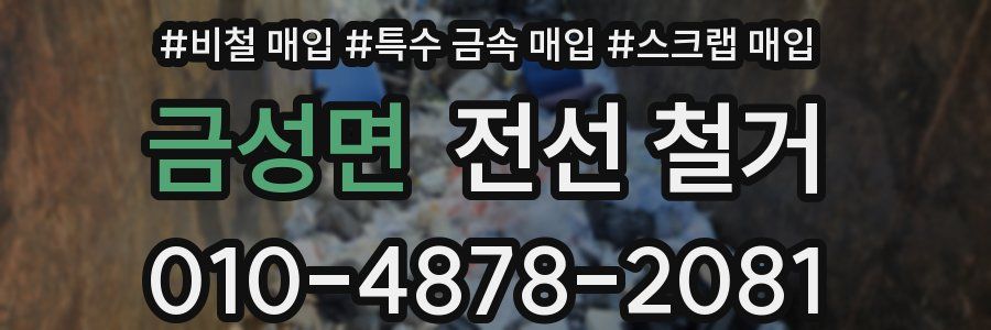 금성면 전선 철거