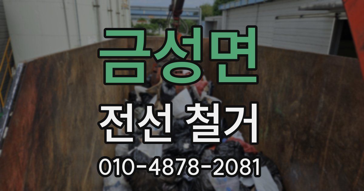 금성면 전선 철거