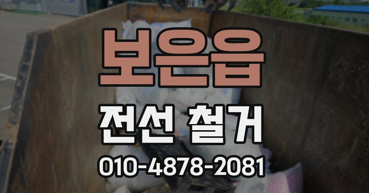 보은읍 전선 철거
