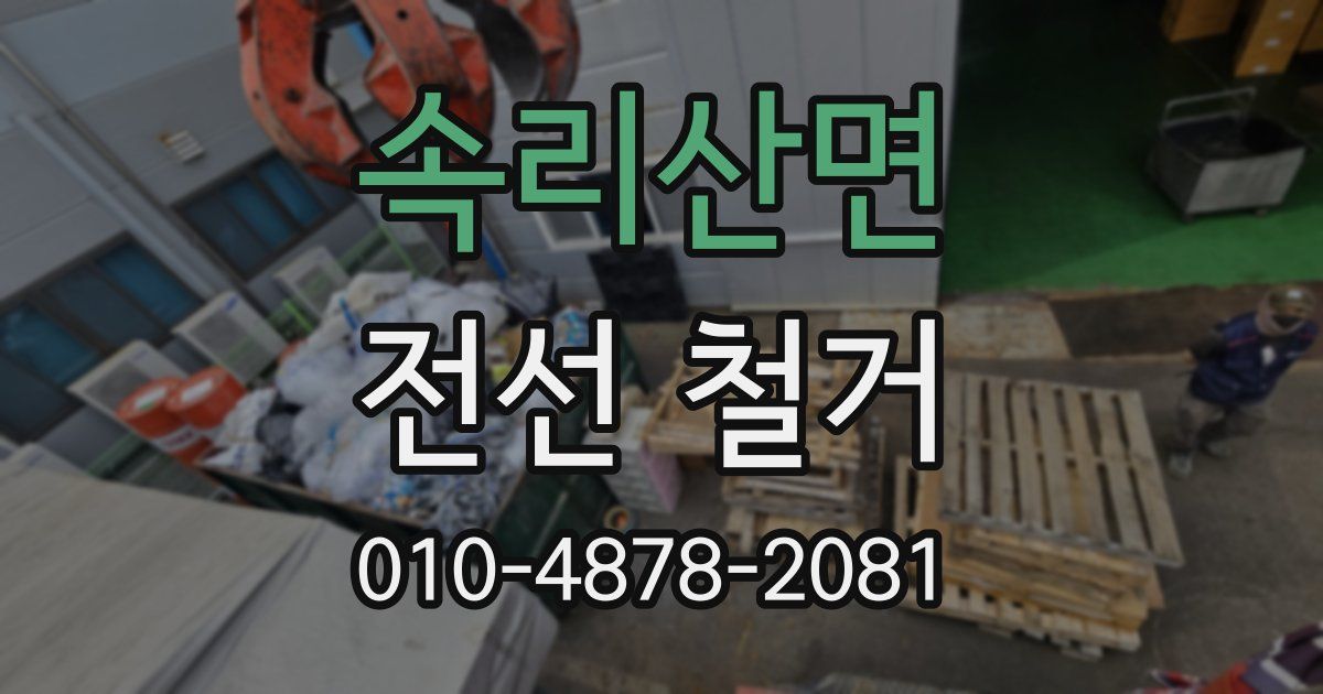 속리산면 전선 철거
