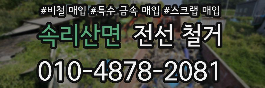 속리산면 전선 철거
