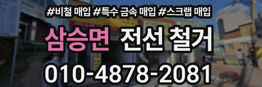 삼승면 전선 철거