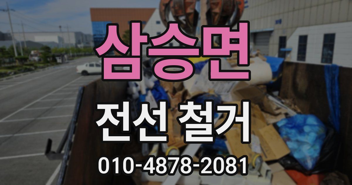 삼승면 전선 철거