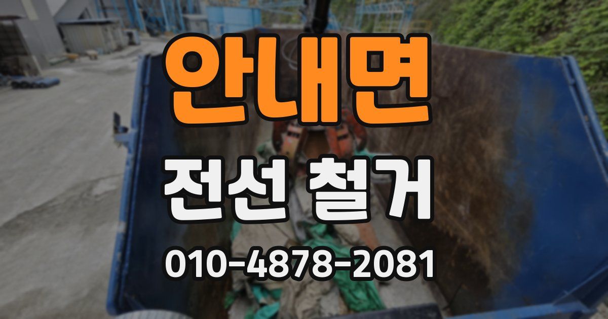안내면 전선 철거