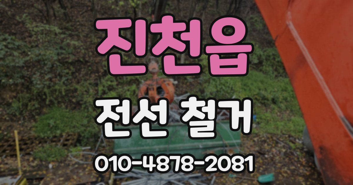 진천읍 전선 철거