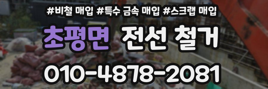 초평면 전선 철거