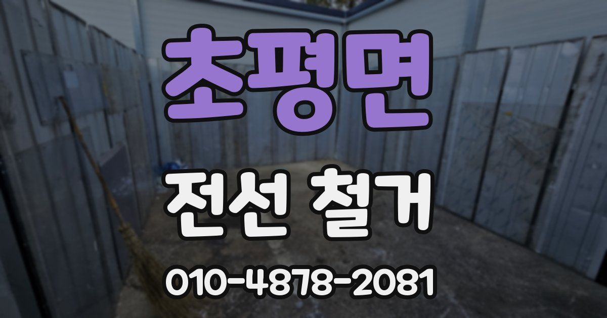 초평면 전선 철거