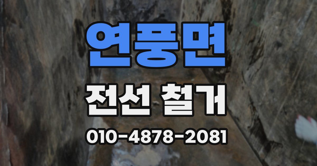 연풍면 전선 철거