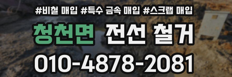 청천면 전선 철거