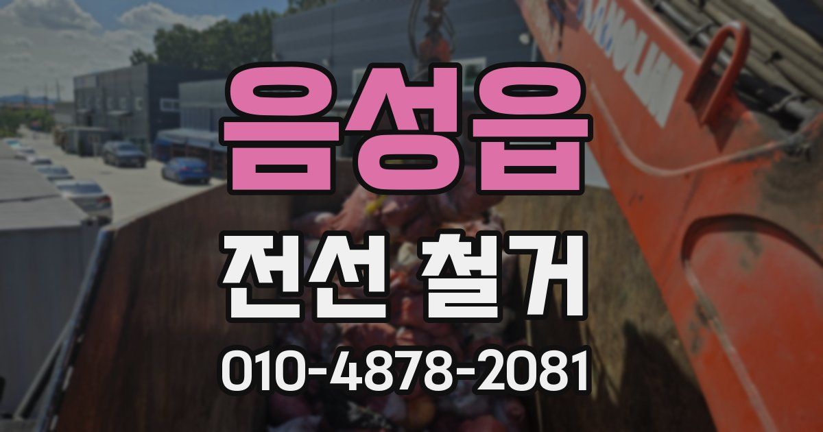 음성읍 전선 철거