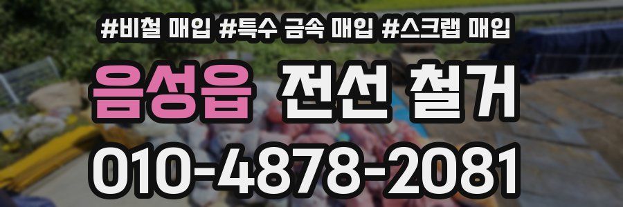 음성읍 전선 철거