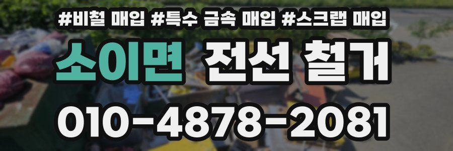소이면 전선 철거