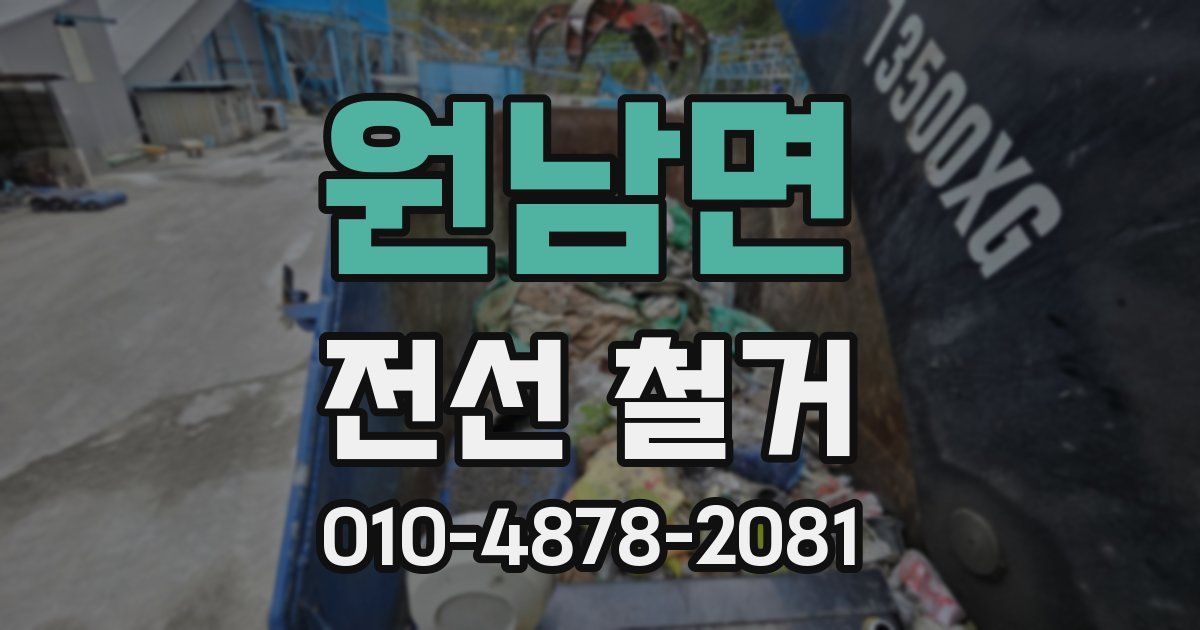 원남면 전선 철거