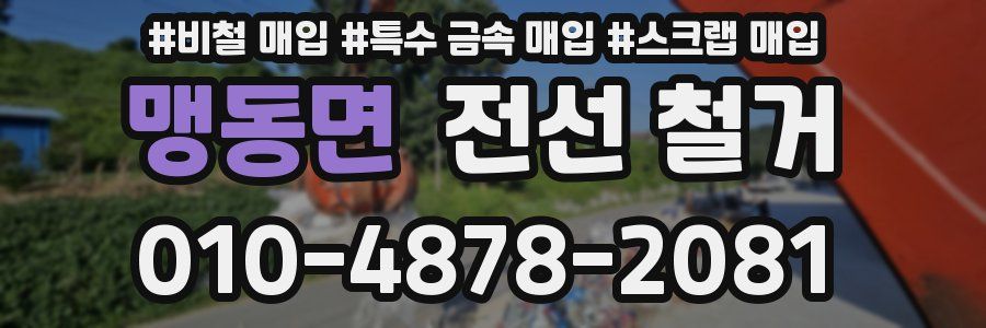 맹동면 전선 철거