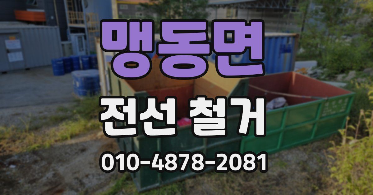 맹동면 전선 철거