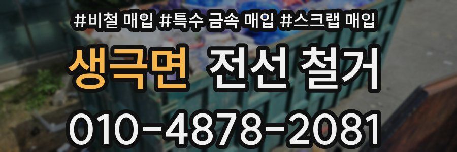 생극면 전선 철거