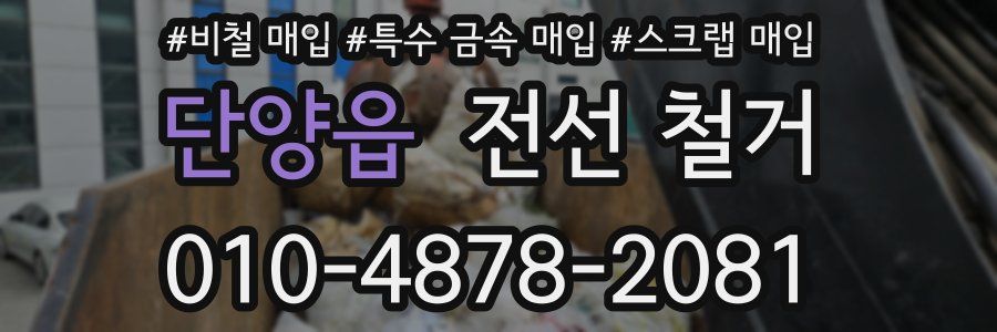 단양읍 전선 철거