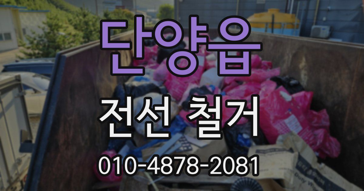 단양읍 전선 철거