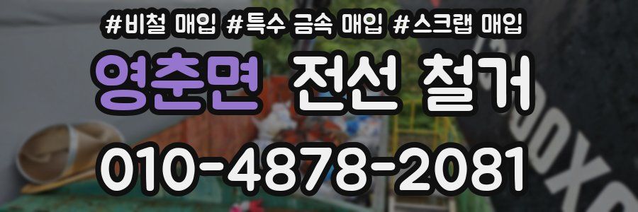 영춘면 전선 철거
