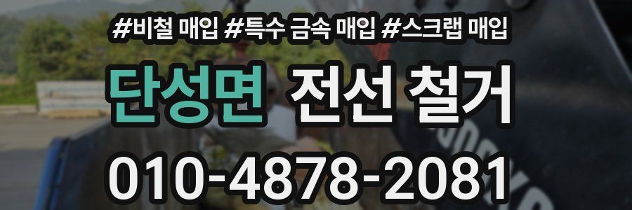 단성면 전선 철거