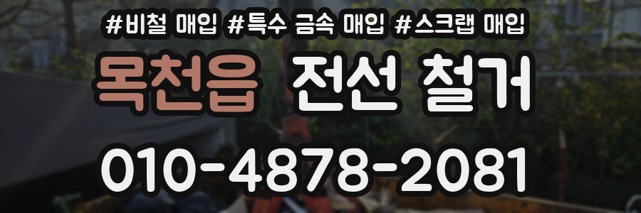 목천읍 전선 철거