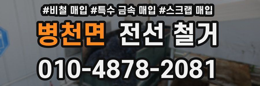 병천면 전선 철거